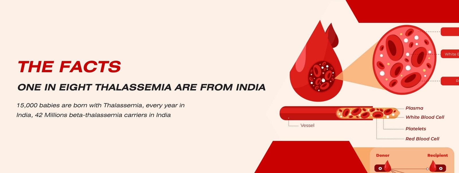 Thalassemia (1)